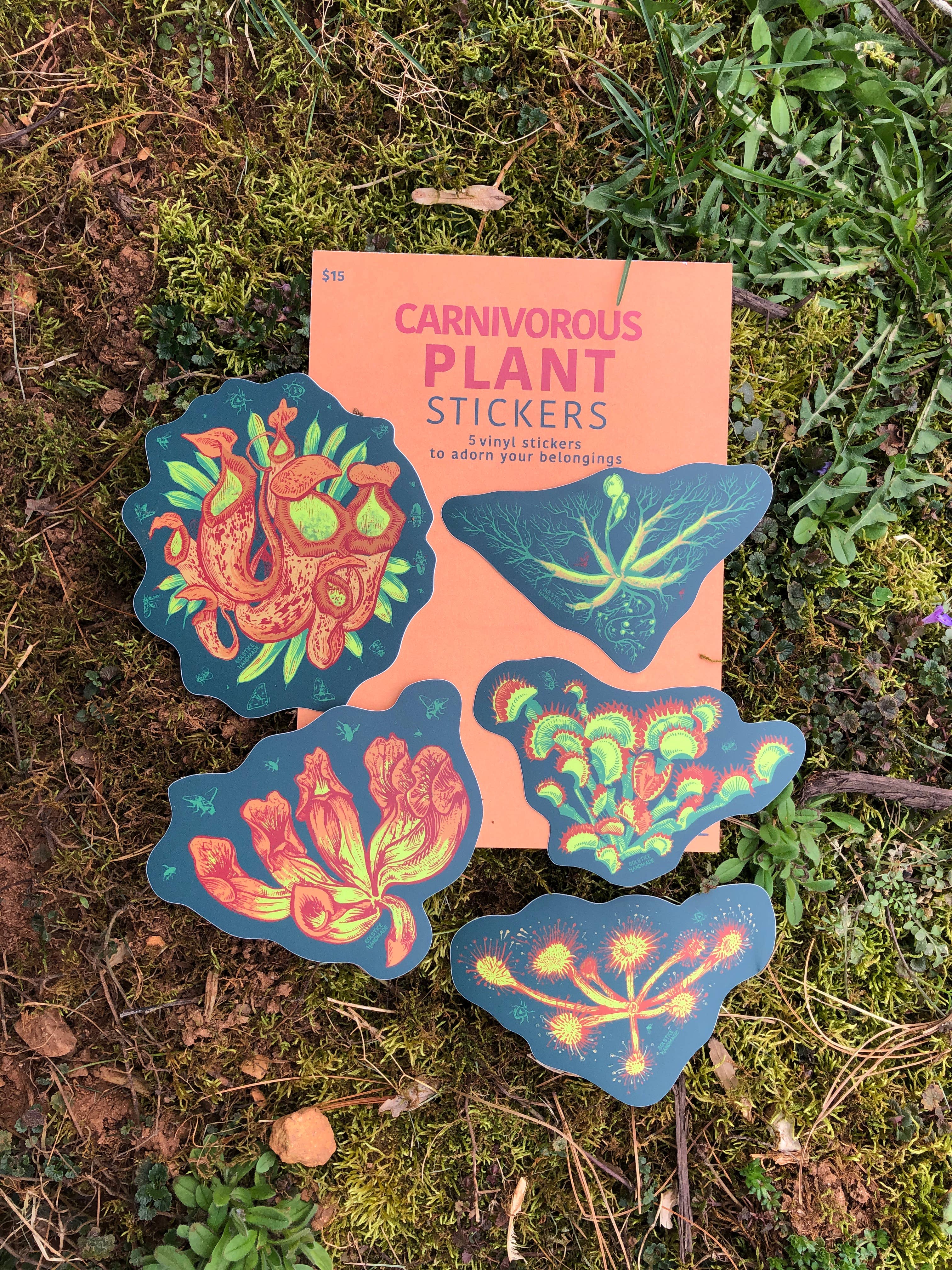 Solstice Handmade – Großhandel Aufkleber – Aufkleberset für fleischfressende Pflanzen3