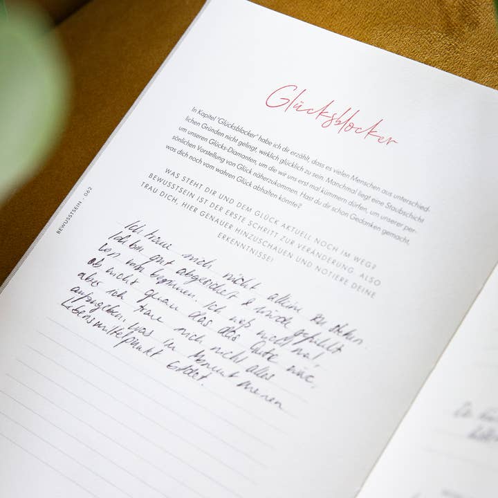 Das Glücksperiment - Wholesale Journal/Diary - Mindfulness Journal | Journal | Meditation | Gratitude7