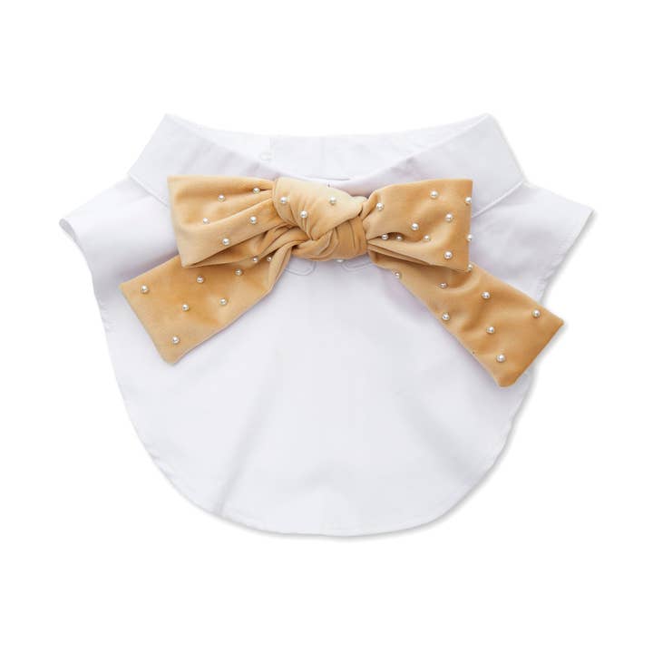 KHAKI KIRA VELVET PEARL BOW COLLAR for wholesale by Lele Sadoughi