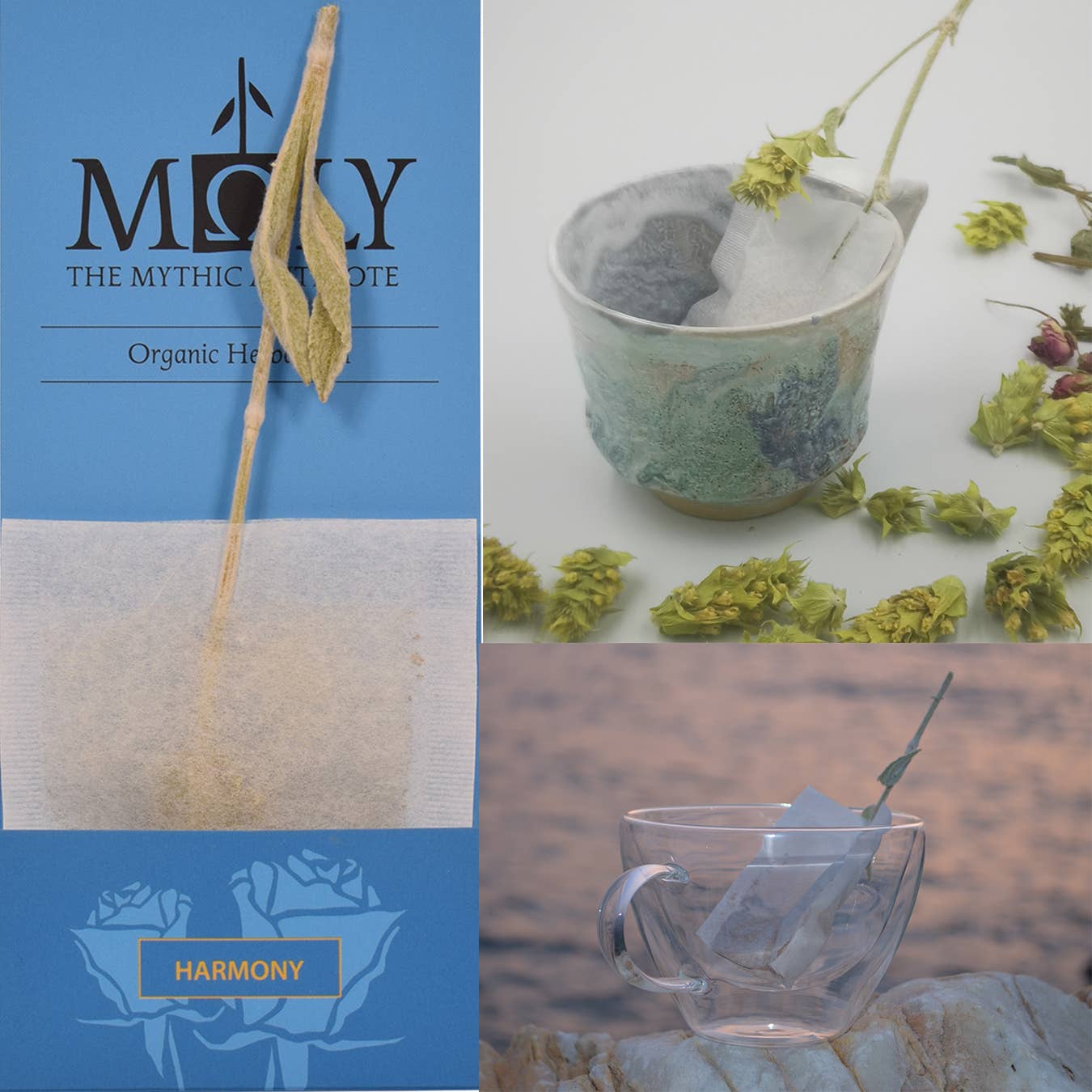 Moly the mythic antidote – Engroshandel Sundheds-/detox-te – Herbalte «Harmony» i separat pose - kun til Ho.Re.Ca.1