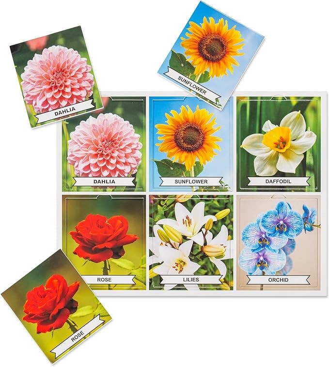 Assistex - Wholesale Card Game - Assistex Matching Game Activity Board - Dementia Activities for Seniors - Memory Games for Adults with Alzheimers - Memory Loss and Alzheimers Activities - Matching Card Memory Games for Seniors2