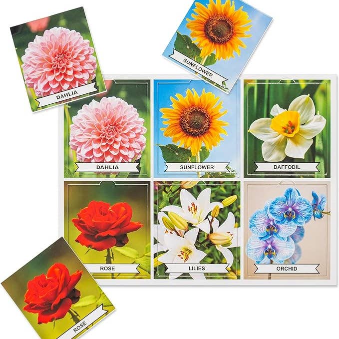 Assistex - Wholesale Card Game - Assistex Matching Game Activity Board - Dementia Activities for Seniors - Memory Games for Adults with Alzheimers - Memory Loss and Alzheimers Activities - Matching Card Memory Games for Seniors2