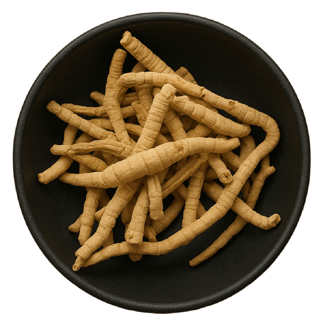 LA Herb – wholesale Herbs – Polygala Root Pieces (Polygala Tenuifolia)1