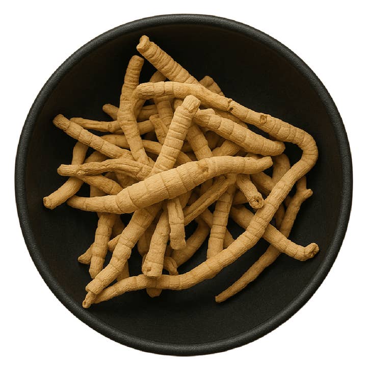 LA Herb – wholesale Herbs – Polygala Root Pieces (Polygala Tenuifolia)1