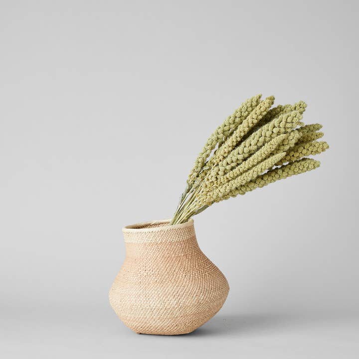 Bloomist - Wholesale Dried/Pressed Flowers - Dried Spray Millet4