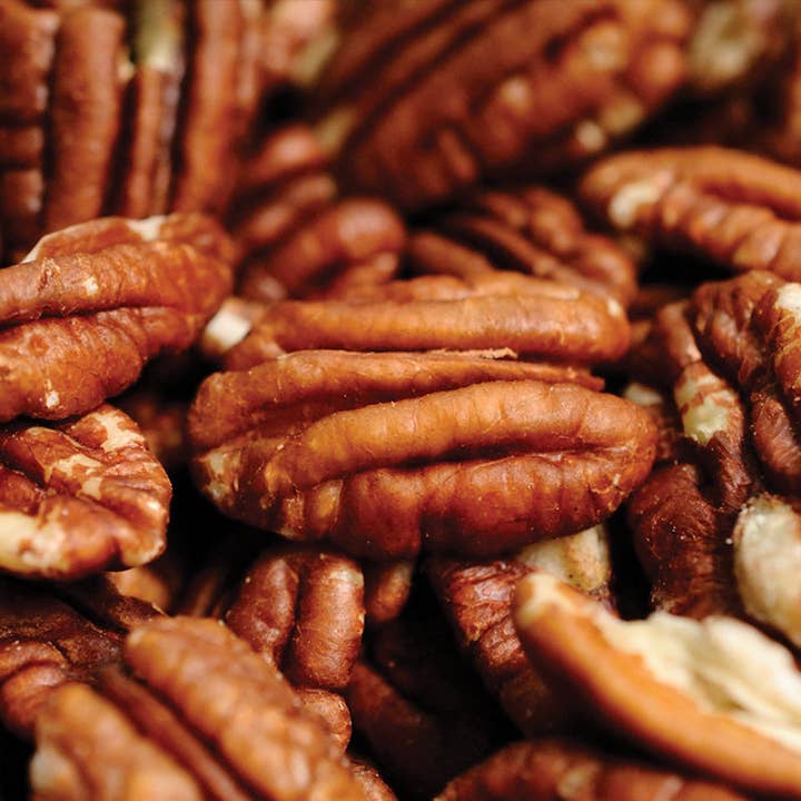 Burke's Naturals - Wholesale Nuts - Pecan Halves3