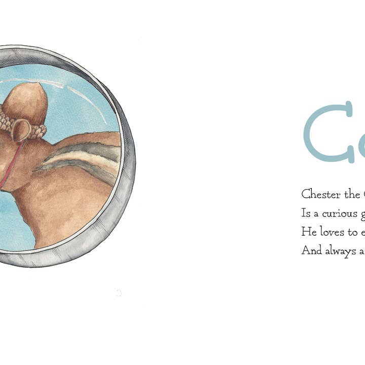 Schiffer Kids - Wholesale Preschool Book (3-5) - Wild Animal ABC3