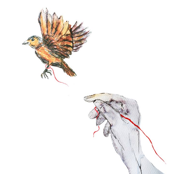 Pássaro único sem cartão, incluindo envelope por atacado de Jetteke Ottevanger Ontwerp/Troost