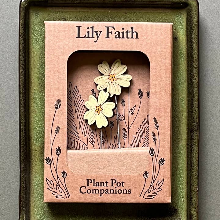 Compagni di Vaso per Primule per la vendita all'ingrosso da parte di Lily Faith