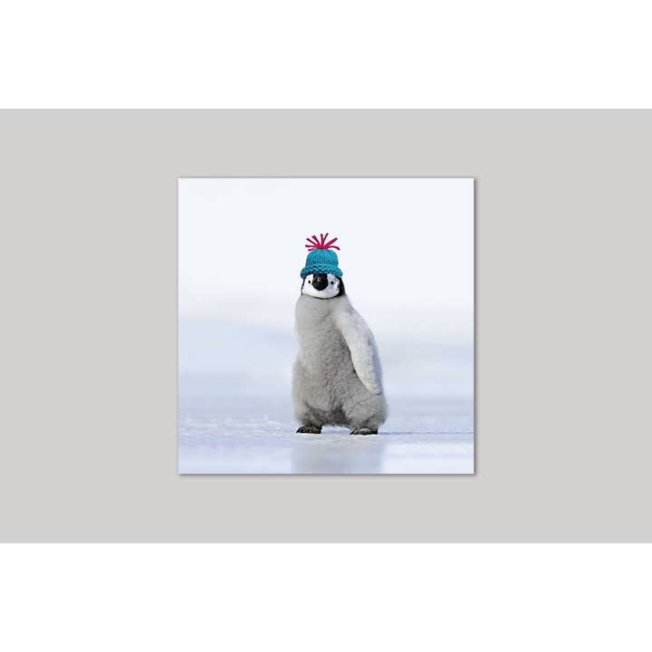 Tarjeta de felicitación Cool Dude para venta al por mayor de Icon