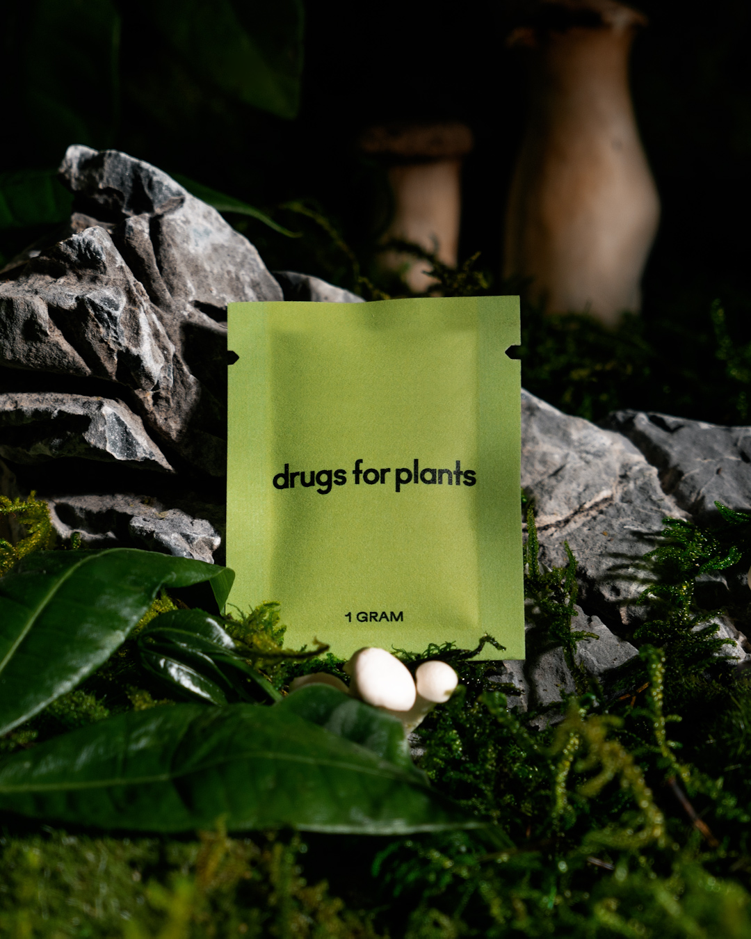 Drugs for Plants - Wholesale Fertilizer - 1G Pouch of Organic Fertilizer Powder1