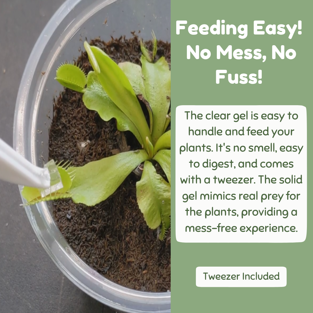 bloomify - Wholesale Fertilizer - Carnivorous Plant Food, Designed for Venus Flytraps, Sundews and Pitcher Plants, 2.5oz4