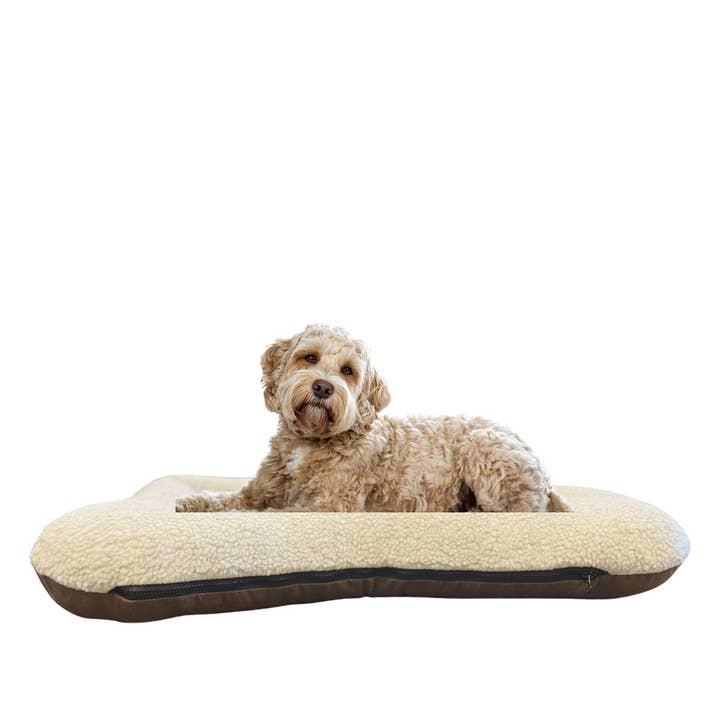 Snoozer Pet Products - Vendita all'ingrosso Letto - Cani - Cuccia per Cani All Day di Snoozer30