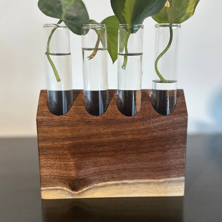 Walnut Propagation Station for wholesale by M. Casey Designs