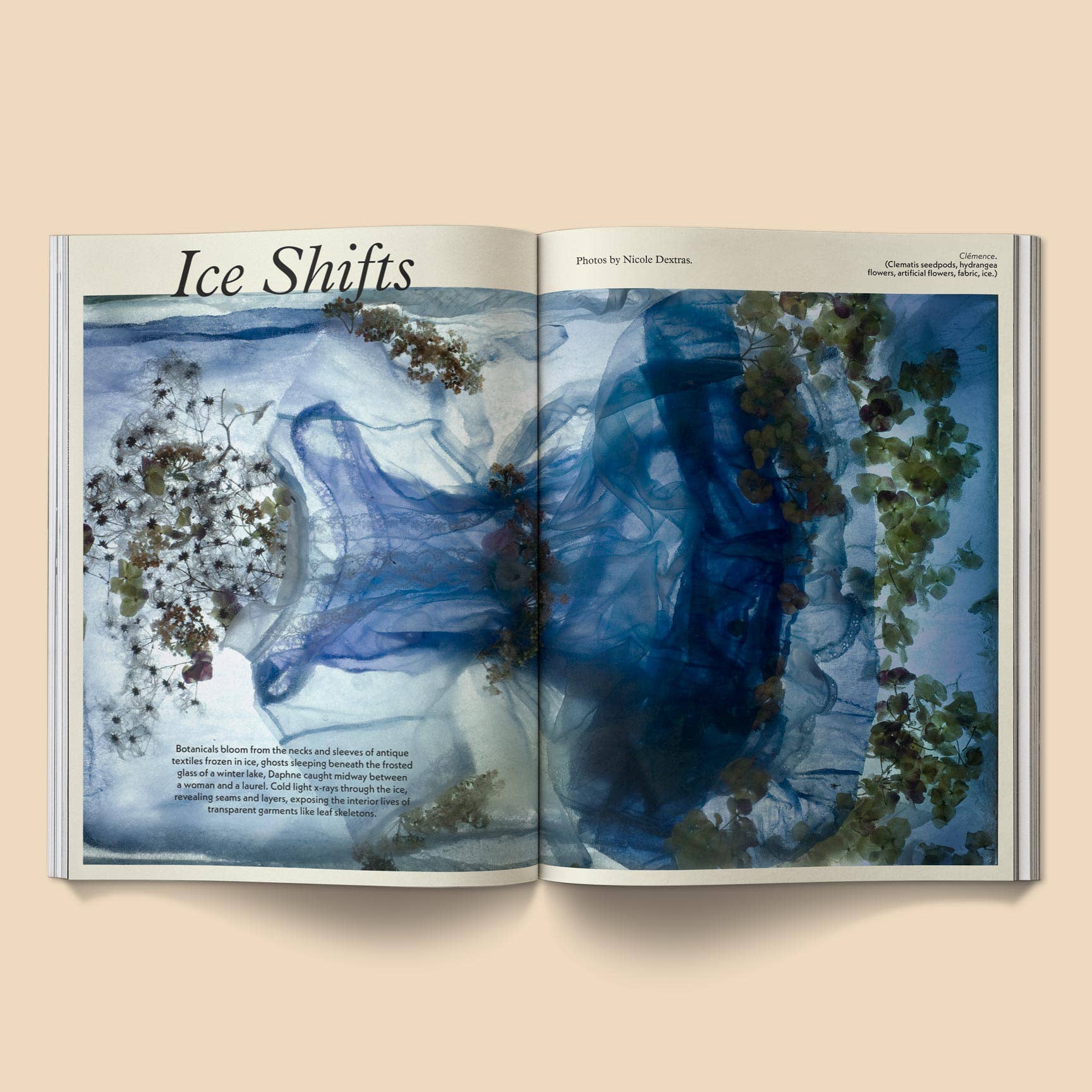 Broccoli – Engroshandel Magasin – Mildew Magasin: Udgave 47