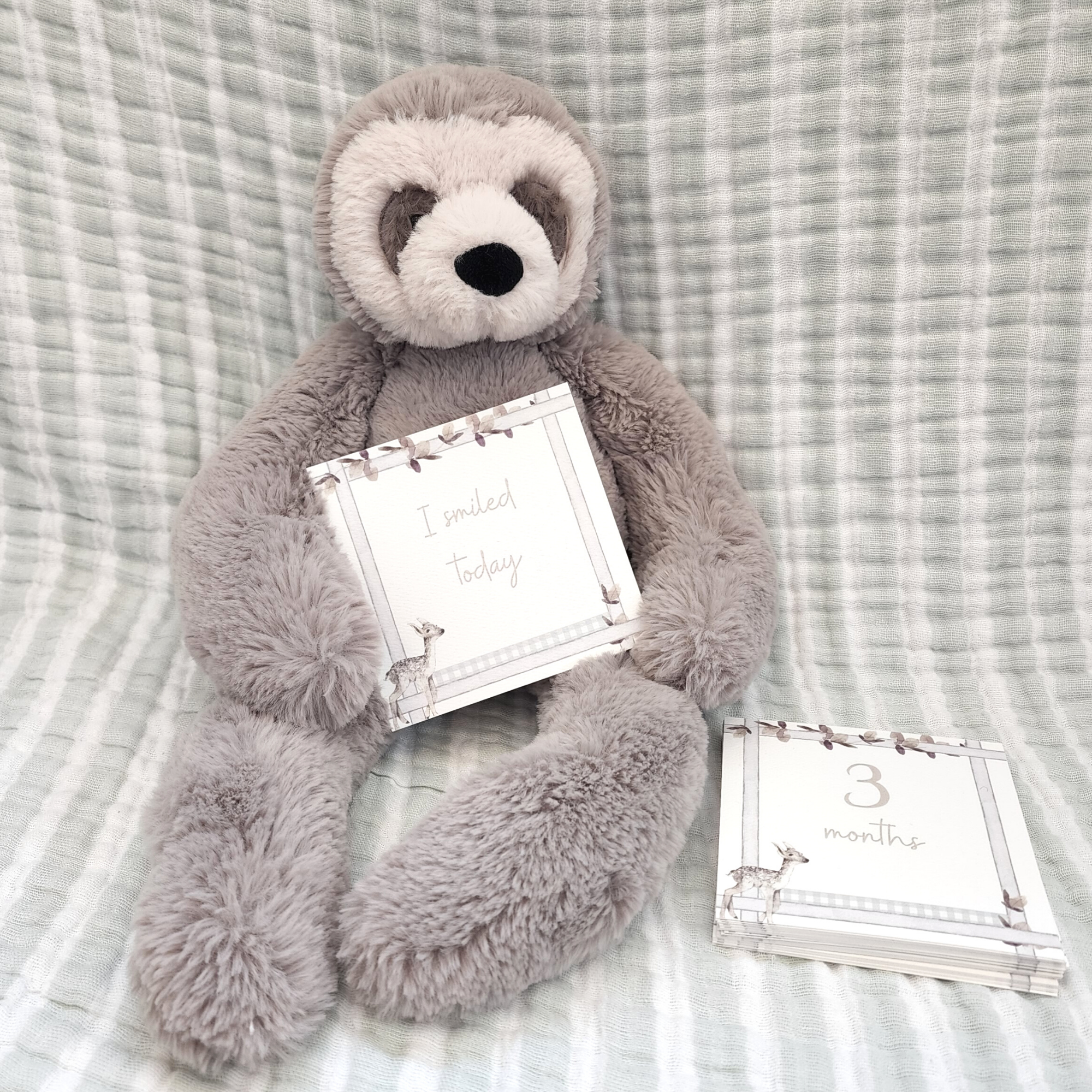 Curious Baby - Wholesale Milestone Art/Keepsake - Kids & Baby - Infant Milestone + Memory Cards (0-12 months)1