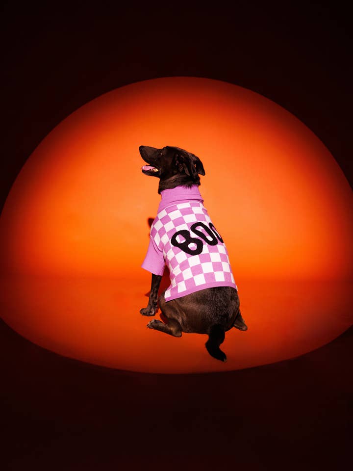 Pull violet pour animaux de compagnie People Eater pour la vente par Toby & Linus