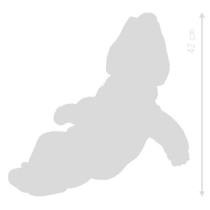 La Tienda de Muñecas - Wholesale Doll - Kids - Newborn Doll Martina 42 cm with blanket box5