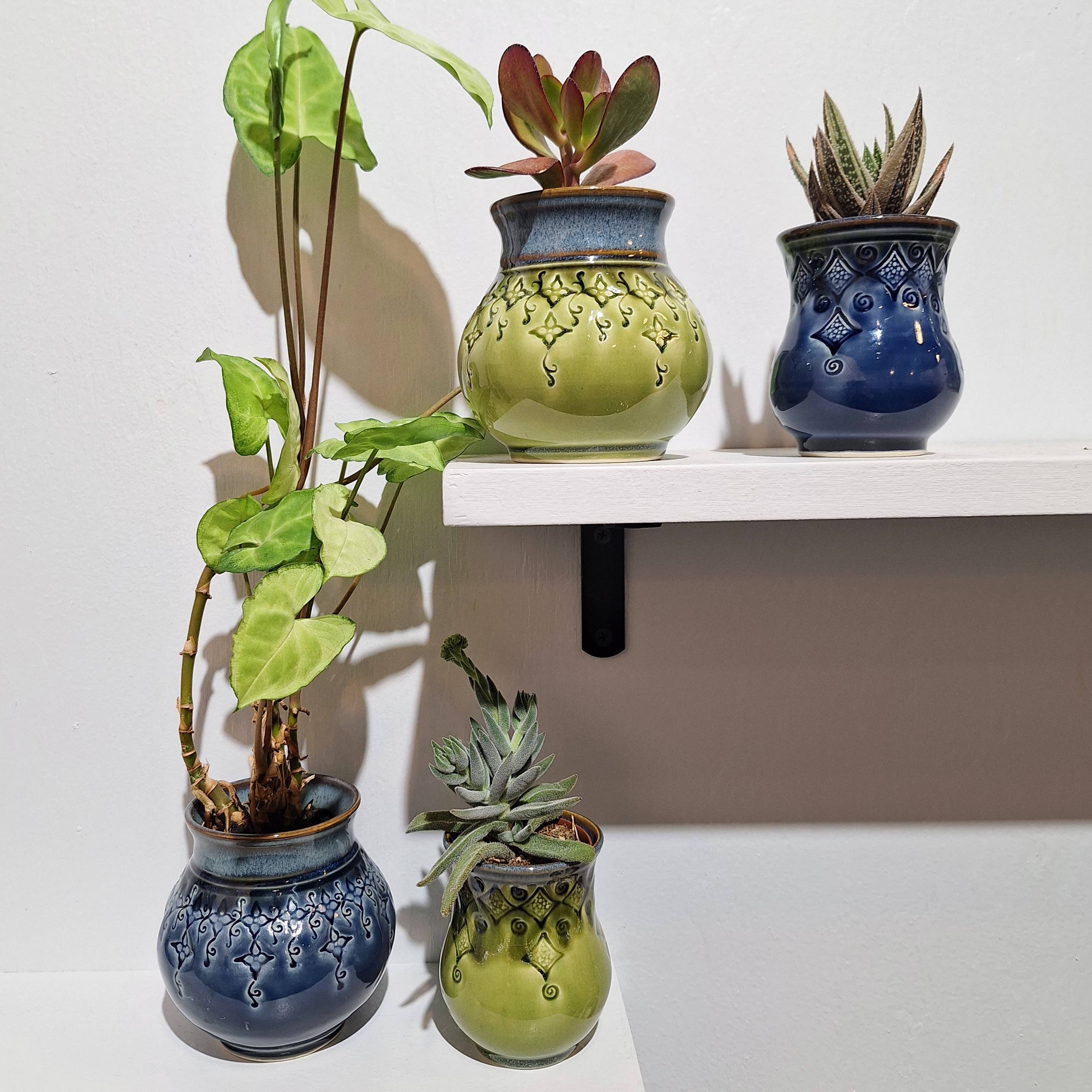 Plays in Mud Pottery - Wholesale Plant Pot - Large Tabletop Planter - Handmade Pottery Planter - MTO5