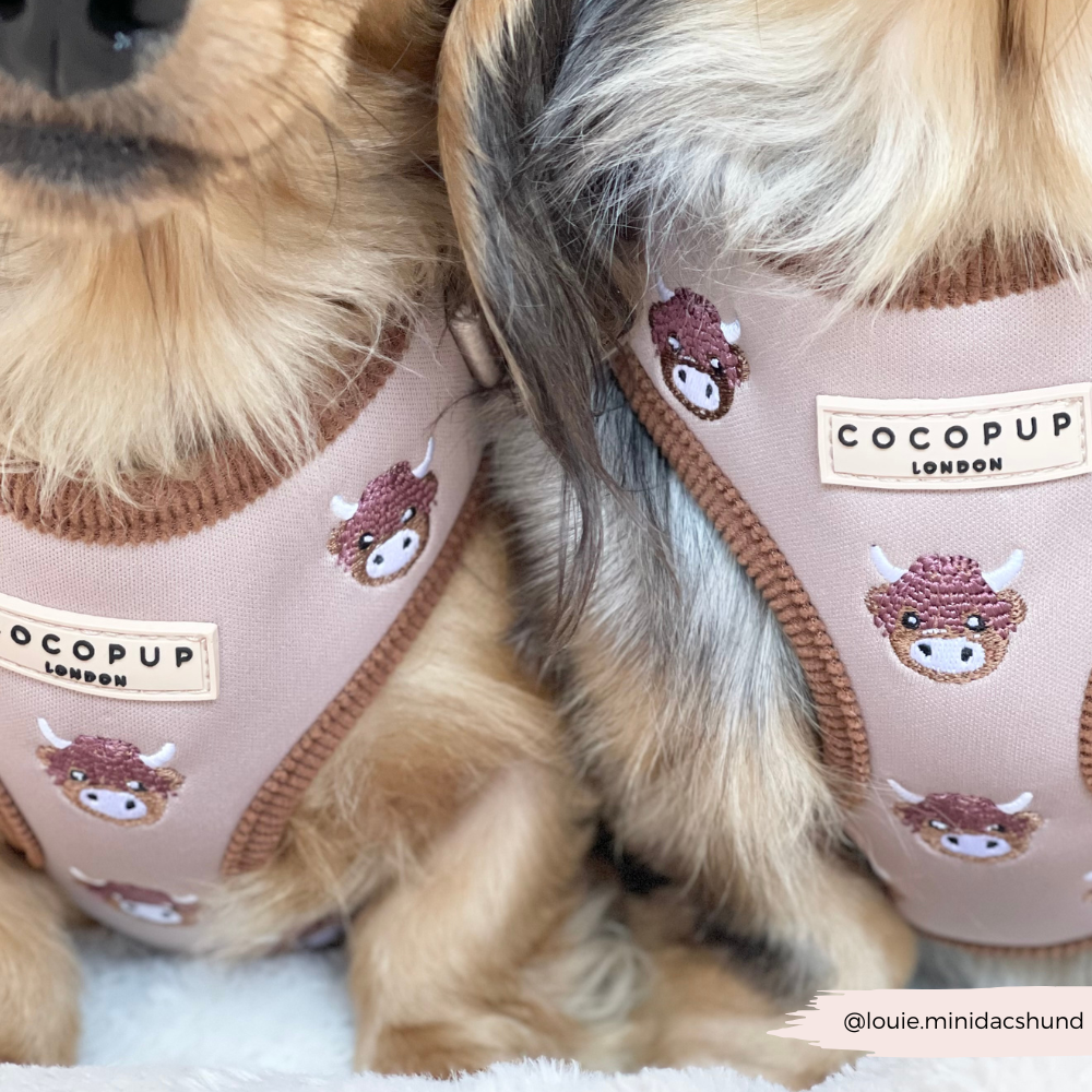Cocopup London - Wholesale Pet Harness - Dog - Harold the Highland Cow Adjustable Neck HARNESS19