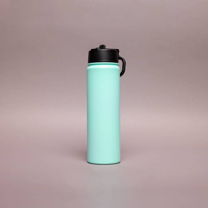 Redbrick - Wholesale Water bottle - BIGGS & BANE Stainless Steel 18Oz, 22Oz & 32Oz Straw Water Bottle21