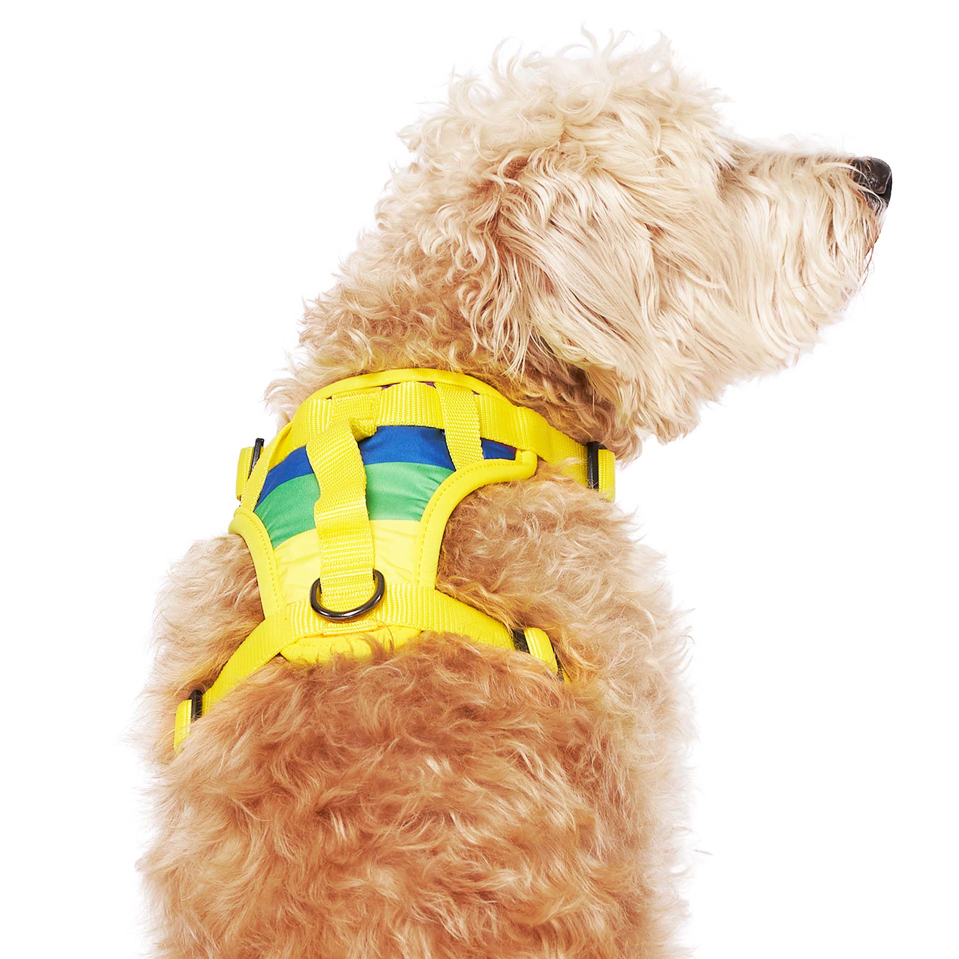 Canada Pooch – wholesale Pet harness – Dog – Everything Harness- No-Pull Dog Harness (Water Resistant)21