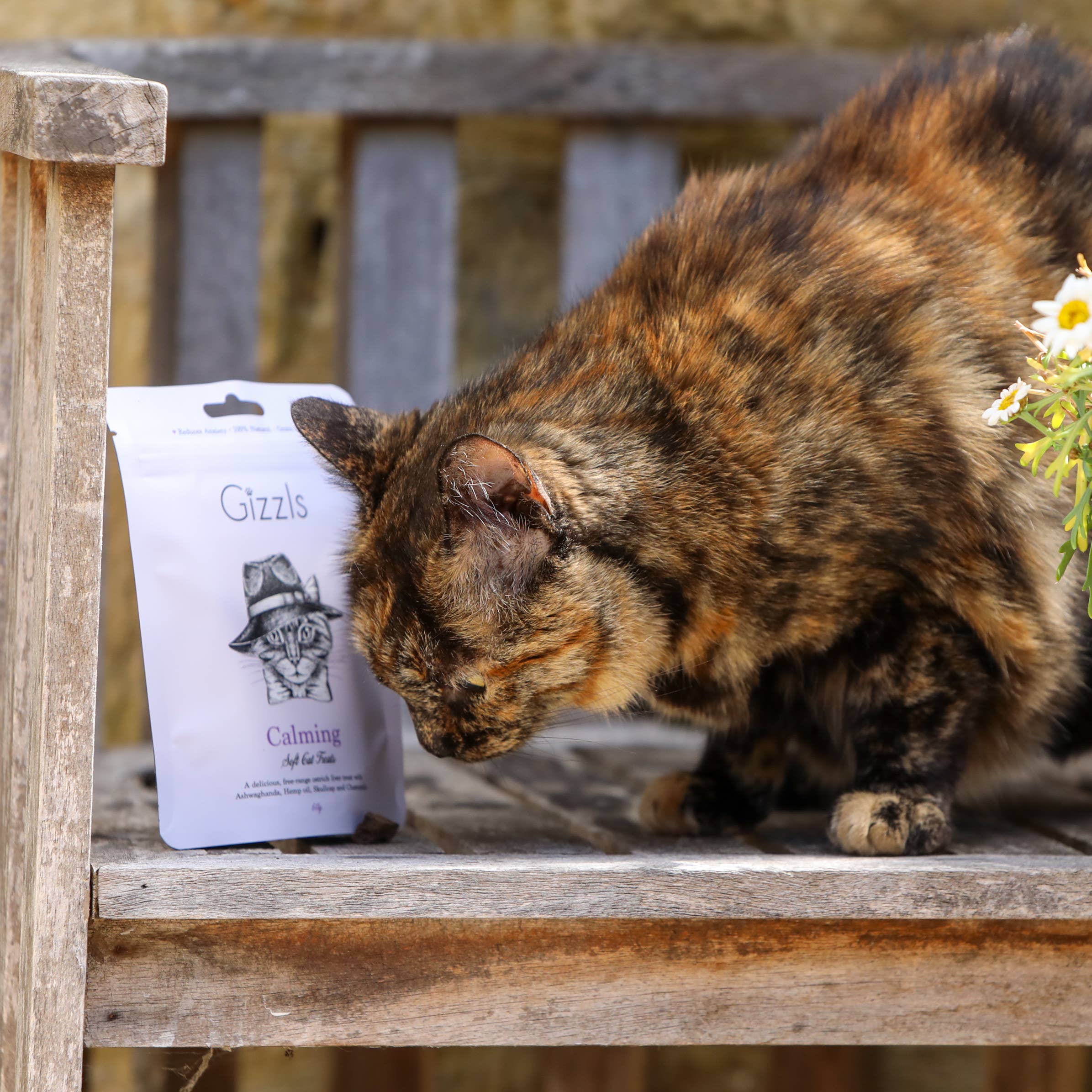 Gizzls – wholesale Pet treats – Cat – Calming Soft Cat Treats4