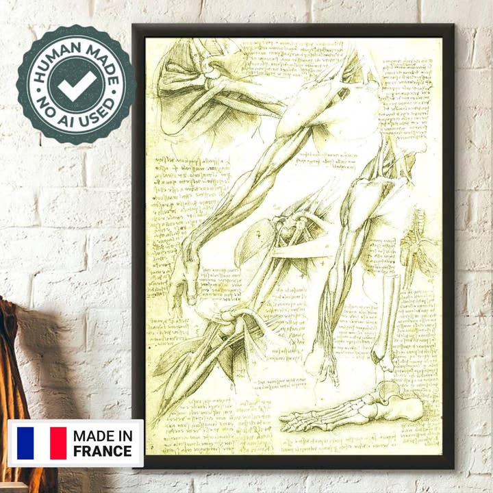 Figura Anatómica Humana Modelo Da Vinci para Educación Médica para venta al por mayor de Vintage Wall Graphics