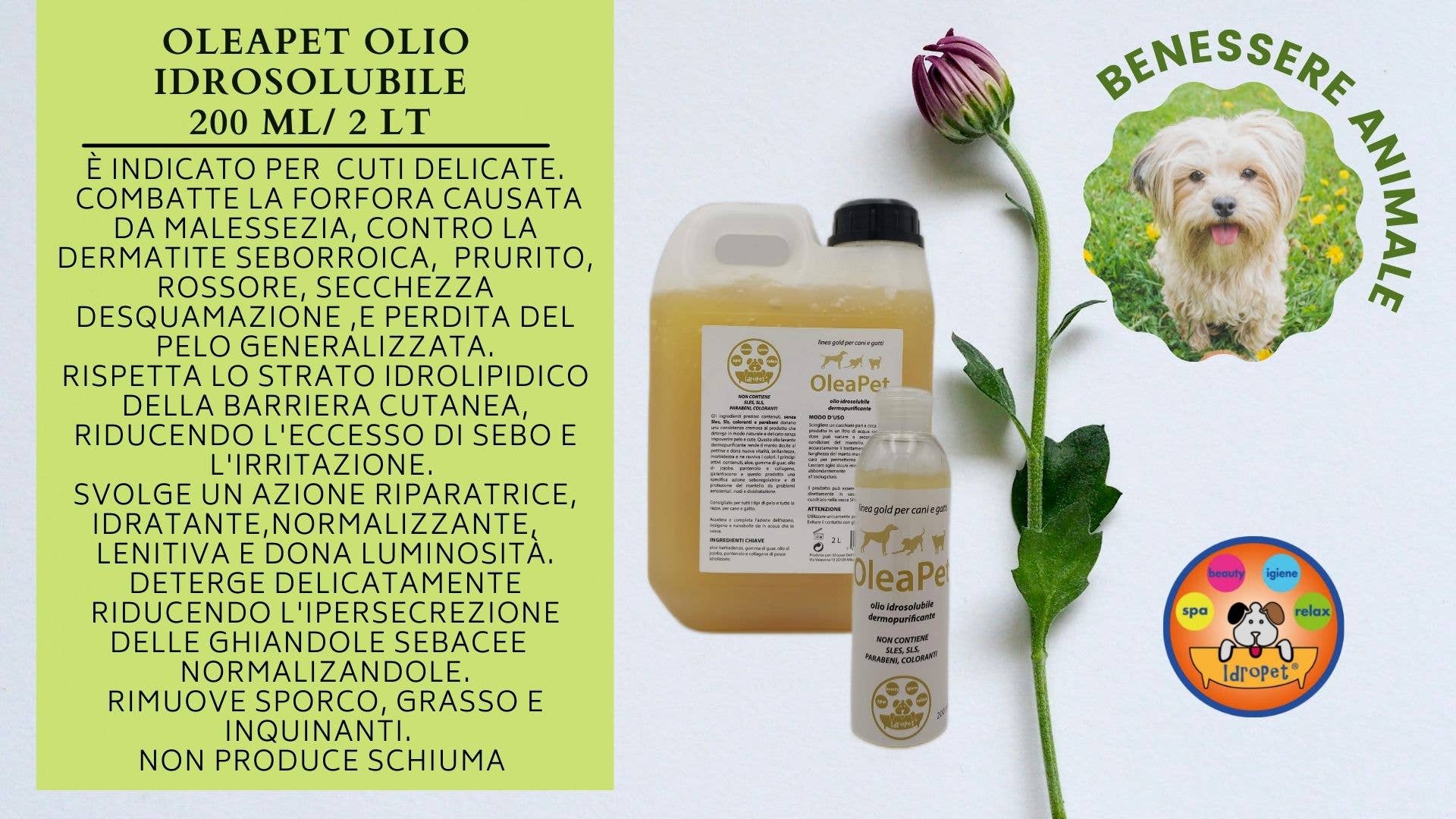 Idropet - Wholesale Pet Grooming Set - Dog - Spa & Beauty kit dedicated to the Maltese dog8