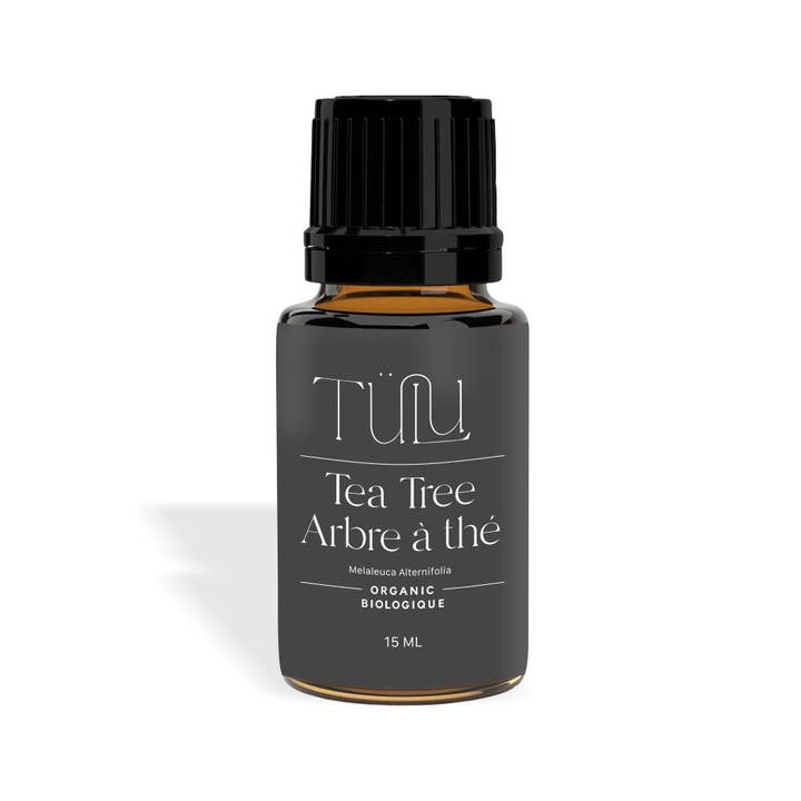 Albero del tè (Melaleuca alternifolia) per la vendita all'ingrosso da parte di Tülu Wellness