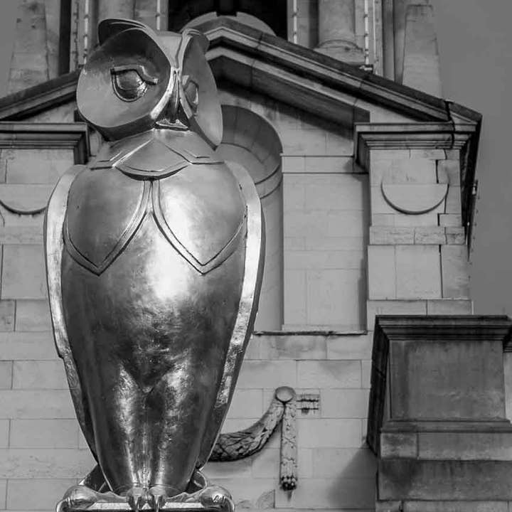 Owl, Civic Hall, Leeds print for wholesale by RJHEALDPHOTOGRAPHY