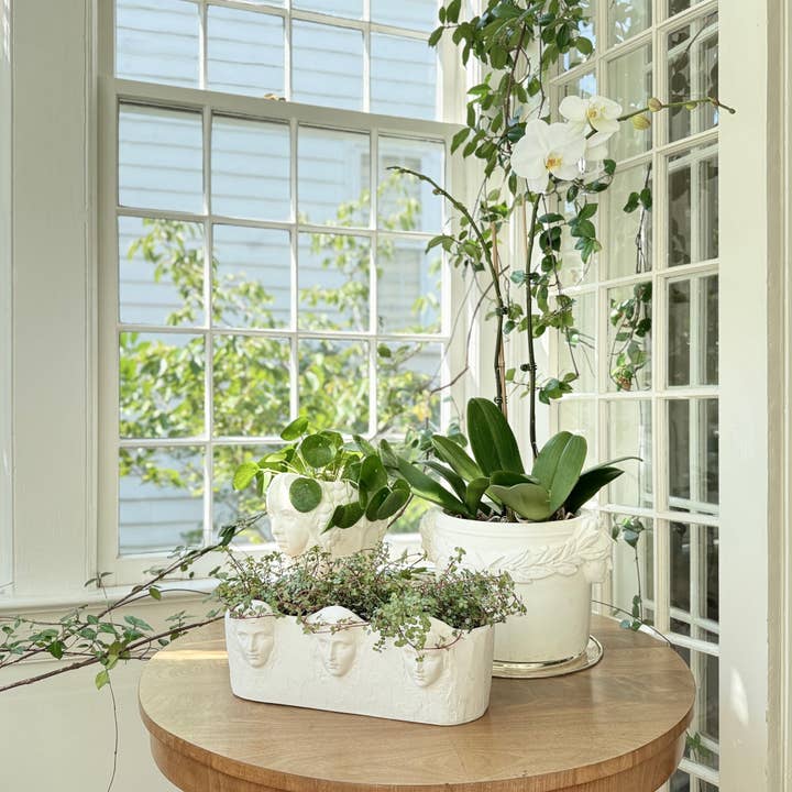 House Parts, Inc. - Wholesale Plant Pot - Laurel Leaves Planter6