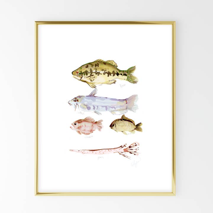 Texas Freshwater Fish Art Print for wholesale by Elayna Johnson Design