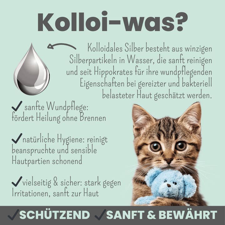 Noms+ - Wholesale Pet Spray - Dog - Silver spray for dogs and cats with 50ppm (100ml)