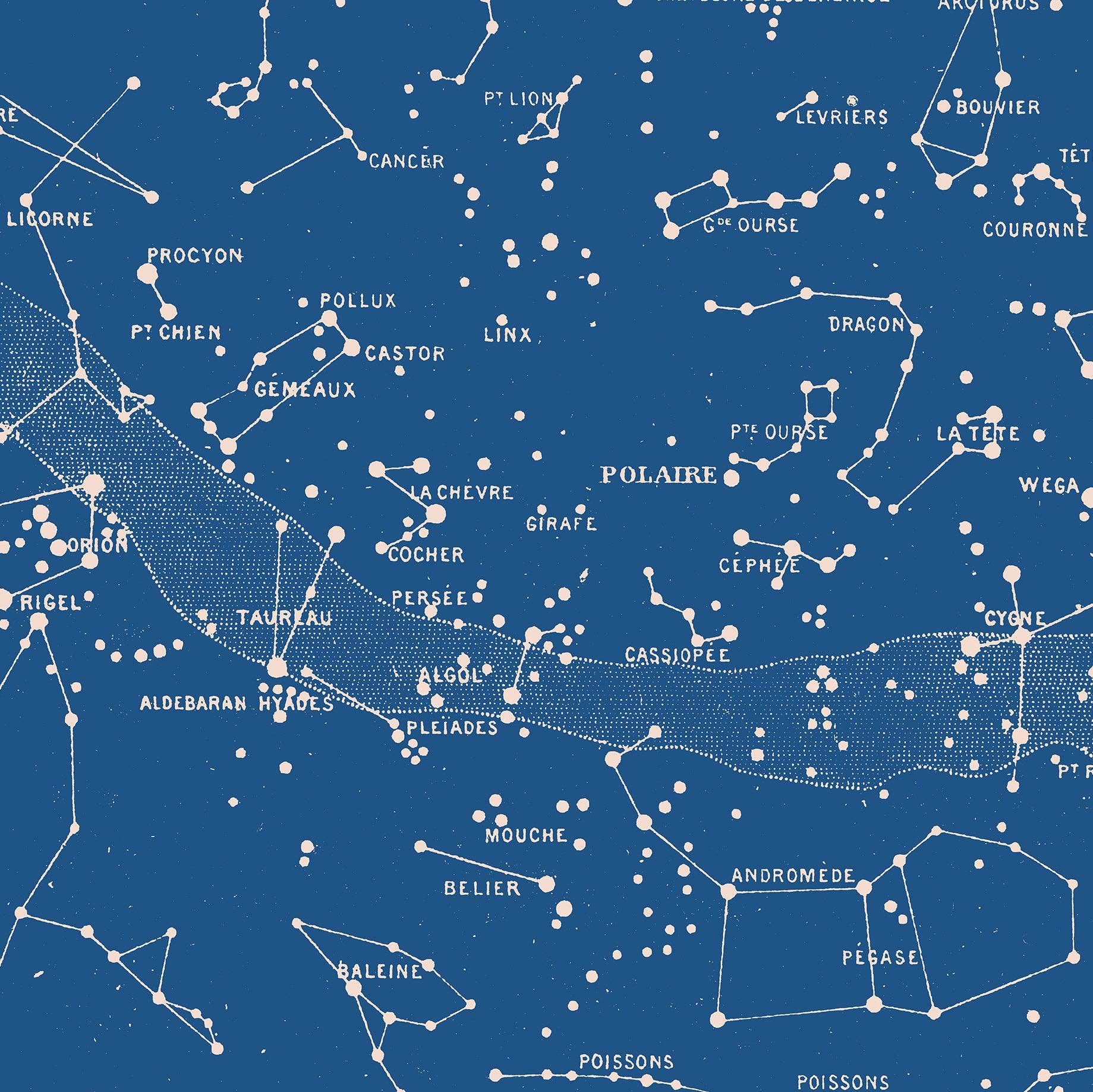 Aster Edition - Wholesale Poster - Poster: hemelkaart3