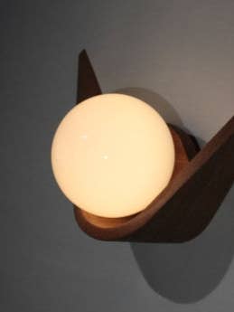 Slung Bent Wood - Globe Light (Standard Size) for wholesale by Hammer and Nail Studios