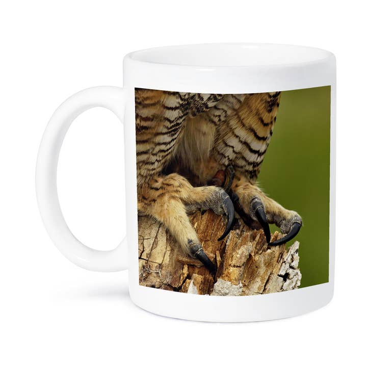 3dRose - Wholesale Koffiemok - 3dRose, Klauwen van de Grote Hoornuil, Bubo virginianus, Gevangen - NA02 AJE0374 - Adam Jones, Mok8