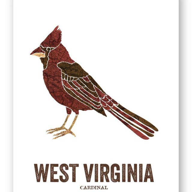 West Virginia State Bird, Map Prints - Cardinal for wholesale by Wooden Pencil Company