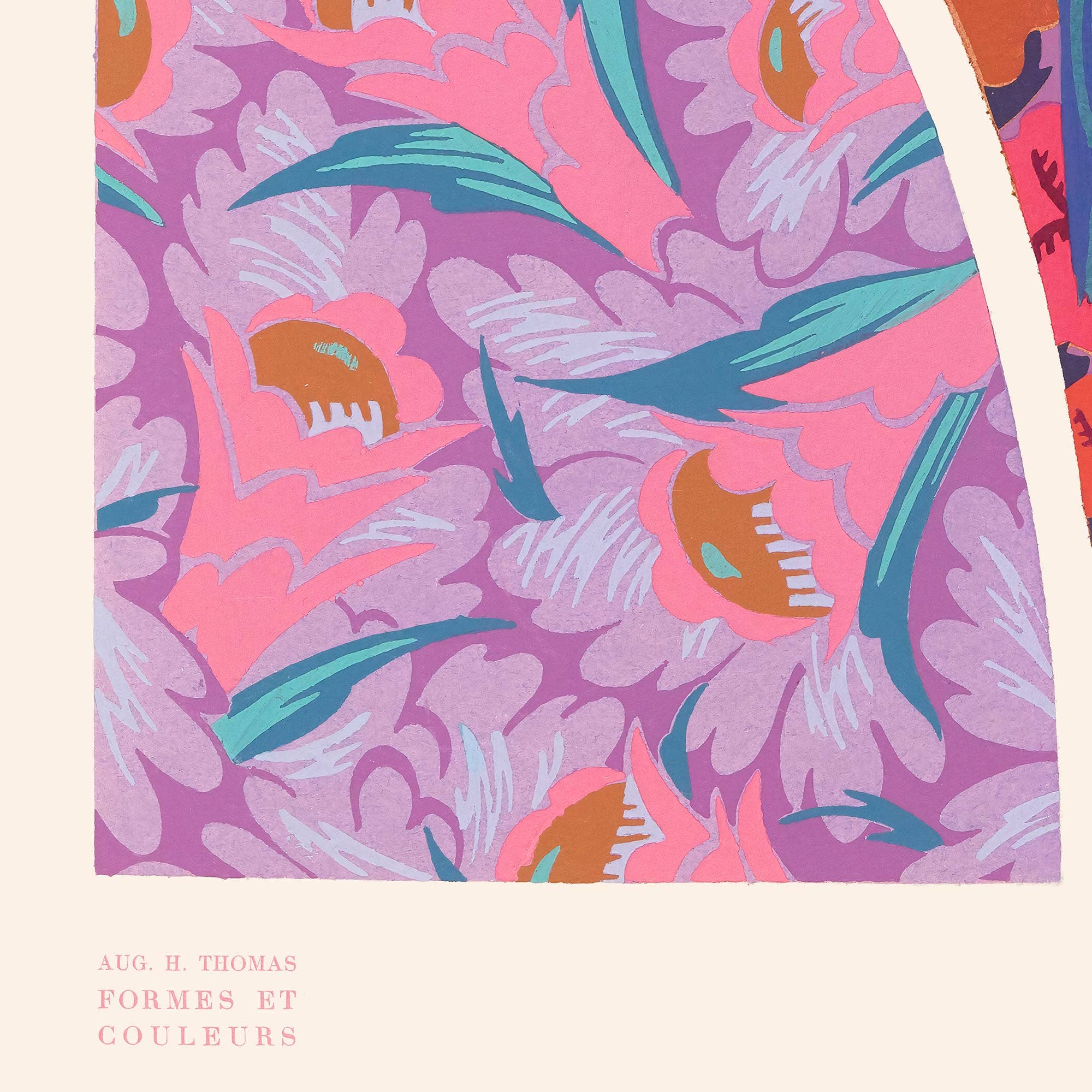 Aster Edition - Vente Poster - Affiche : Formes et Couleurs, Oiseaux - Thomas Auguste3