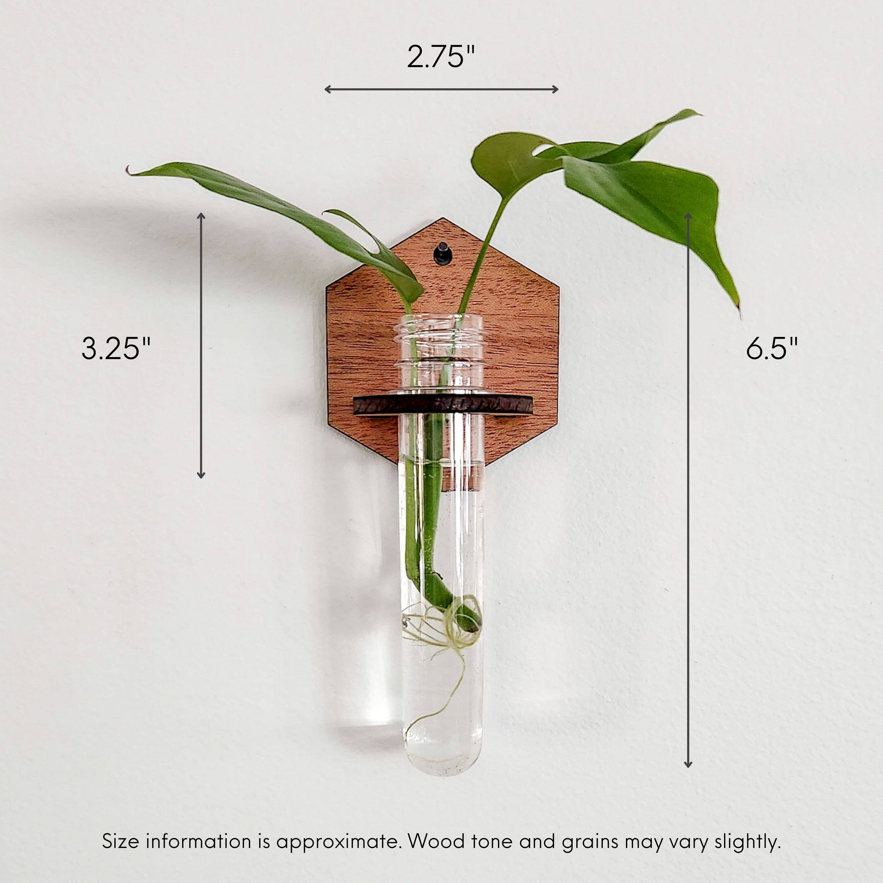 Leaf & Node - Wholesale Hanging Planter - Wall Hanging Propagation Station - Wooden Solid Hexagon3