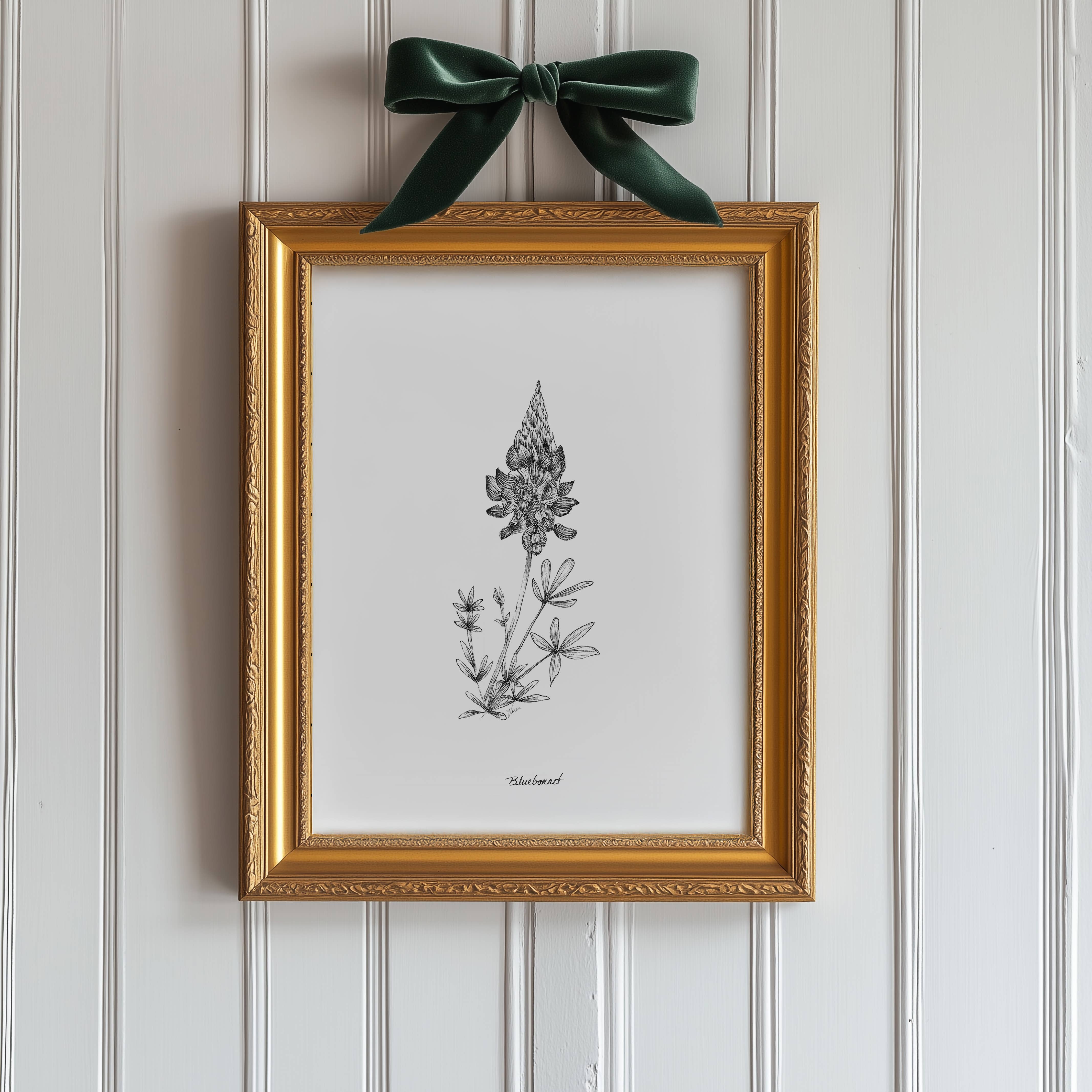 Vanee.ink - Wholesale Art Print - Bluebonnet Print (Texas)3