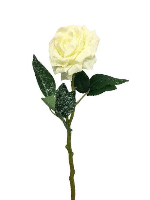 Angel Isabella - Vente Fleurs artificielles - Tige de Rose en Soie Neigeuse de 15 pouces – Décoration de Fêtes d'Hiver3