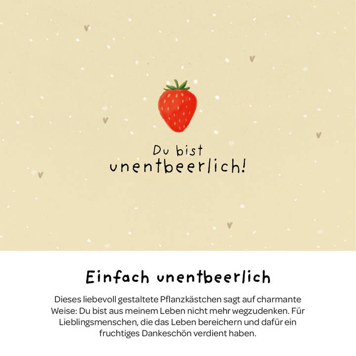 TDJ Stadtgärtner GmbH - Wholesale Plant Seeds - Planter box - Indispensable2