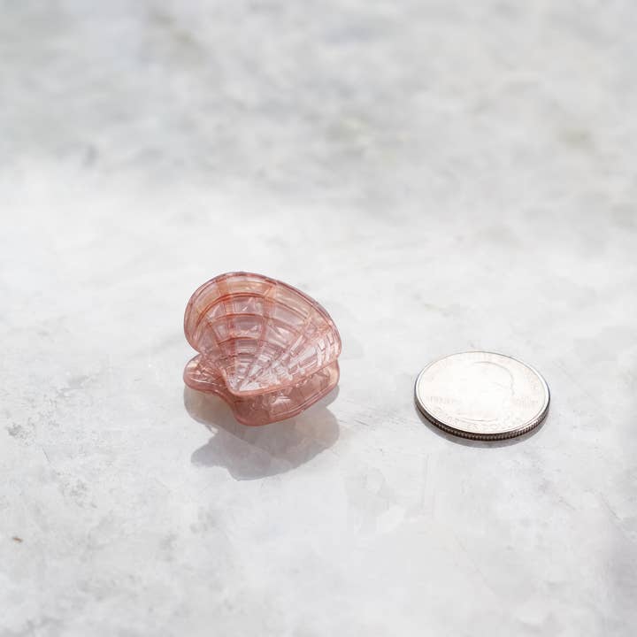 Haven - Wholesale Hair Clip - Women's - Eco Friendly Seashell Hair Clips, Mini4