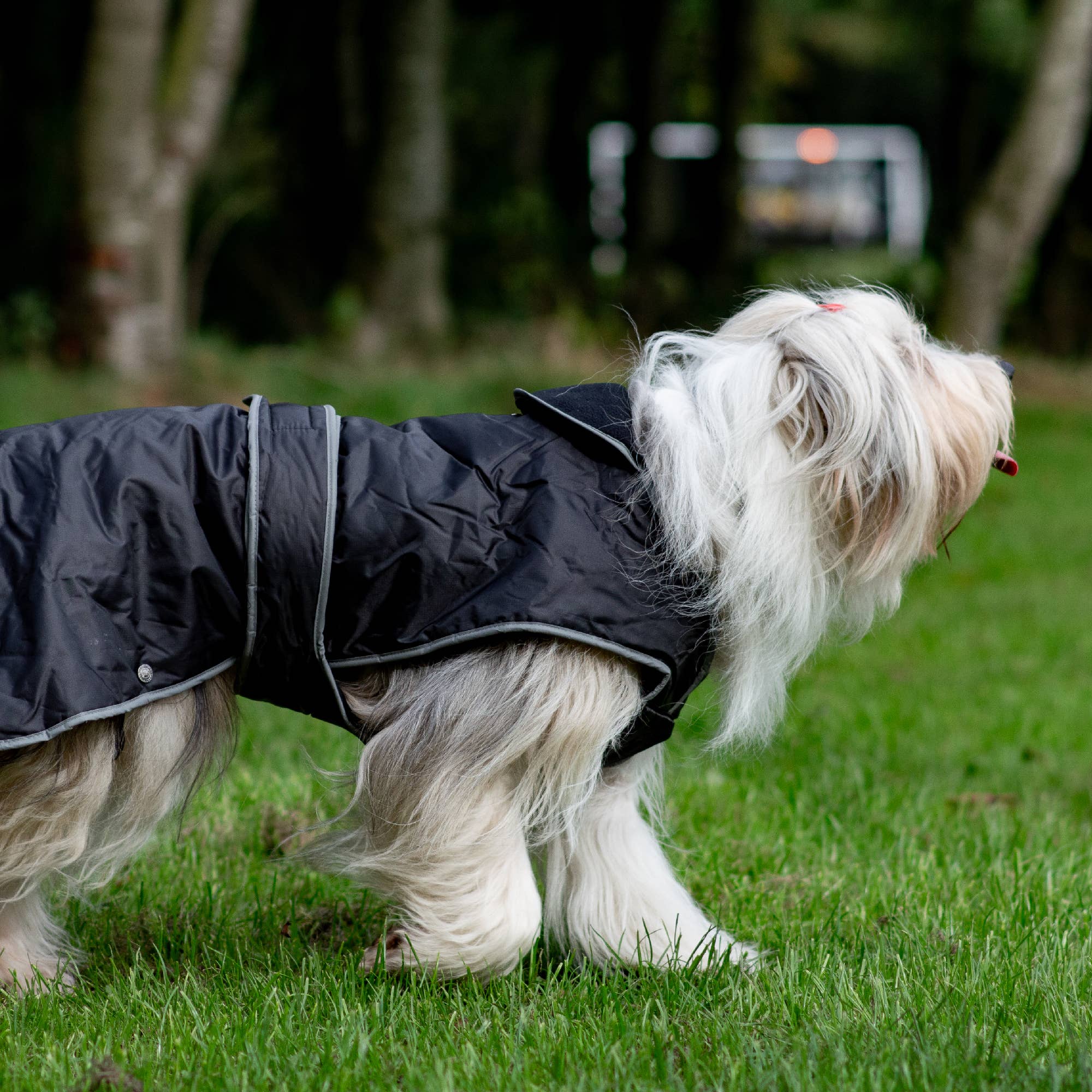 Ancol Pet Products Ltd – wholesale Pet coat – Dog – Stormguard All weather Coat : Black6