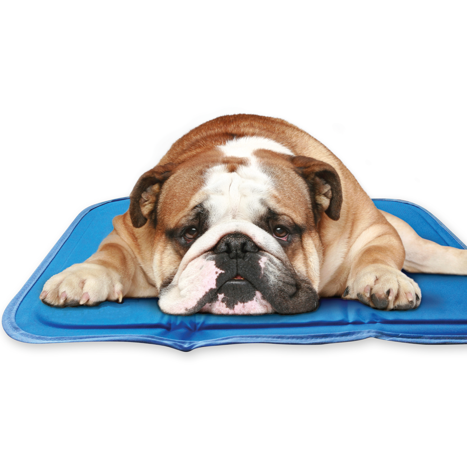 The Green Pet Shop - Wholesale Pet Bed - Dog - Cool Pet Pad2