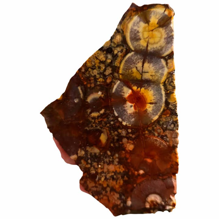 Lapidary Central - Wholesale Spiritual Stone/Crystal - Birdseye Rhyolite Slab - Dominant Purple with Orbicular Eyes2