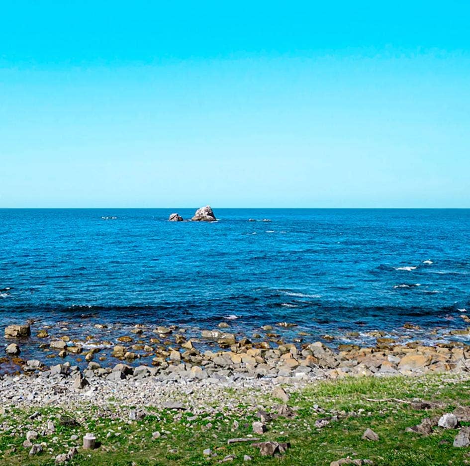 「FUNJI」In Japan - Wholesale Wind Chime - Tsugaru Vidro Japanese Glass Wind Chime Ocean Conservation2