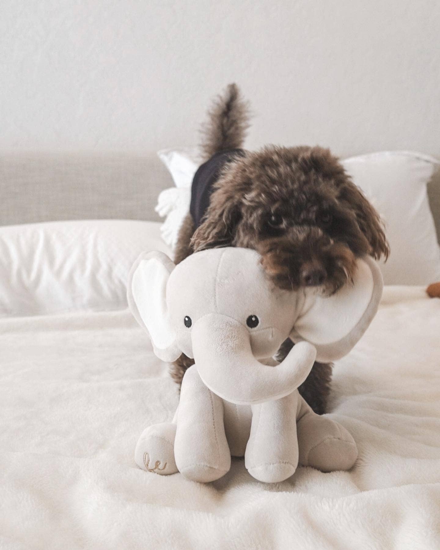 Fur Elise Pets - Wholesale Pet Plush Toy - Dog - Ella Plushie8