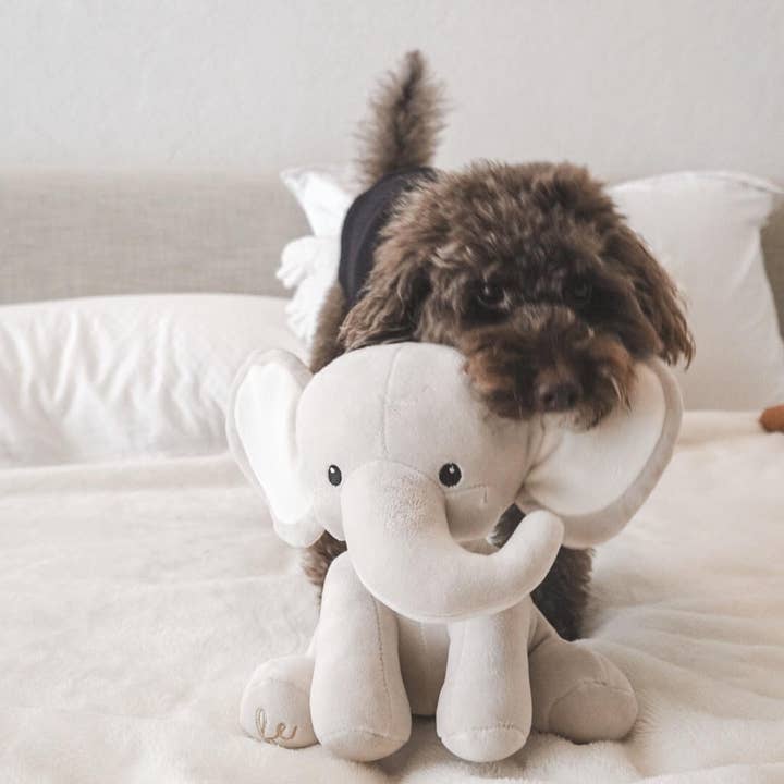 Fur Elise Pets - Wholesale Pet Plush Toy - Dog - Ella Plushie8